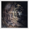generated-preview-14