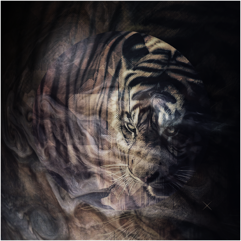 AcrylicPrint_1/4in_20x20-20261004115412934