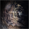 generated-preview-0