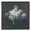 Geometry of Ecology x Strukture