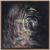 Xrossing Tiger x Strukture