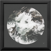 Rapid Abstract x Frame