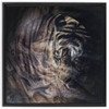 Xrossing Tiger x Strukture