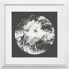 Rapid Abstract x Frame