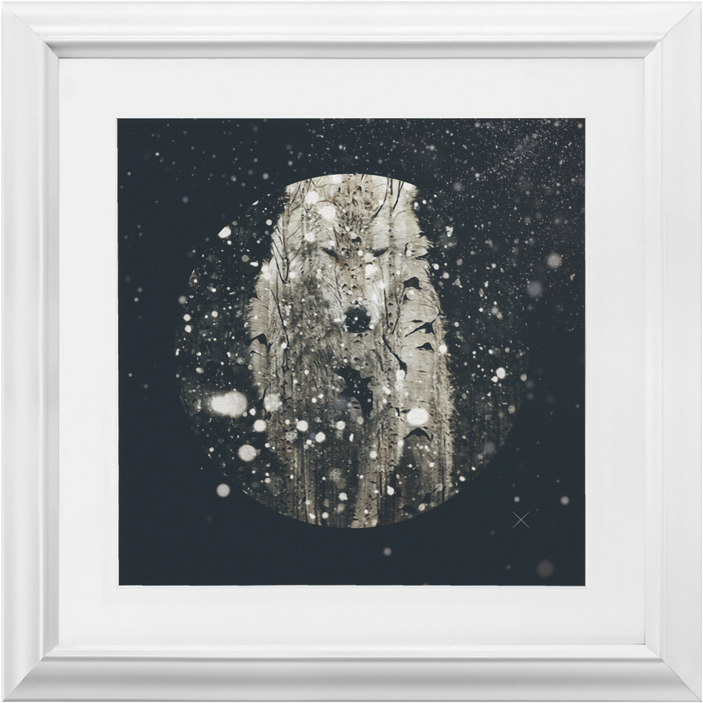 Winter Wolf x Frame