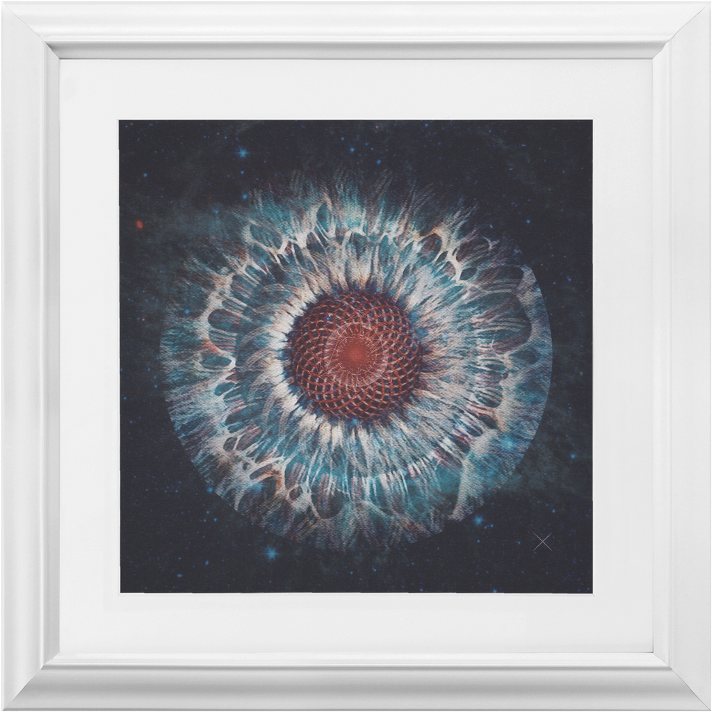 Design I x Frame