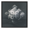 Geometry of Ecology x Strukture