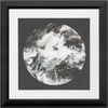 Rapid Abstract x Frame