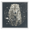 Winter Wolf x Strukture
