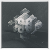 Geometry of Ecology x Strukture
