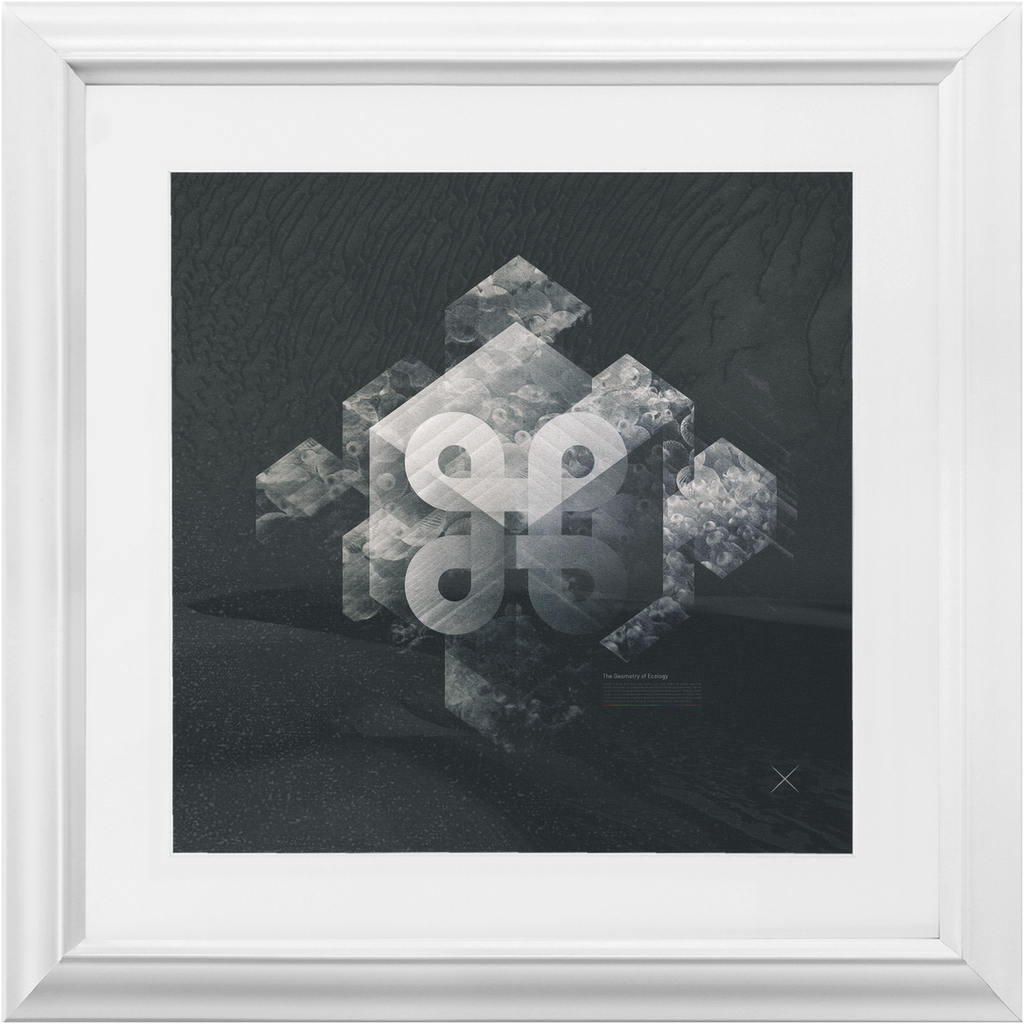 Geometry of Ecology x Frame