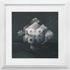 Geometry of Ecology x Frame