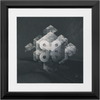 Geometry of Ecology x Frame