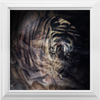 Xrossing Tiger x Frame