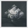 Geometry of Ecology x Strukture