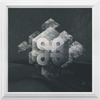 Geometry of Ecology x Frame