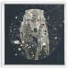 Winter Wolf x Strukture