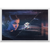 Dream Siren x Frame