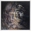 Xrossing Tiger x Strukture