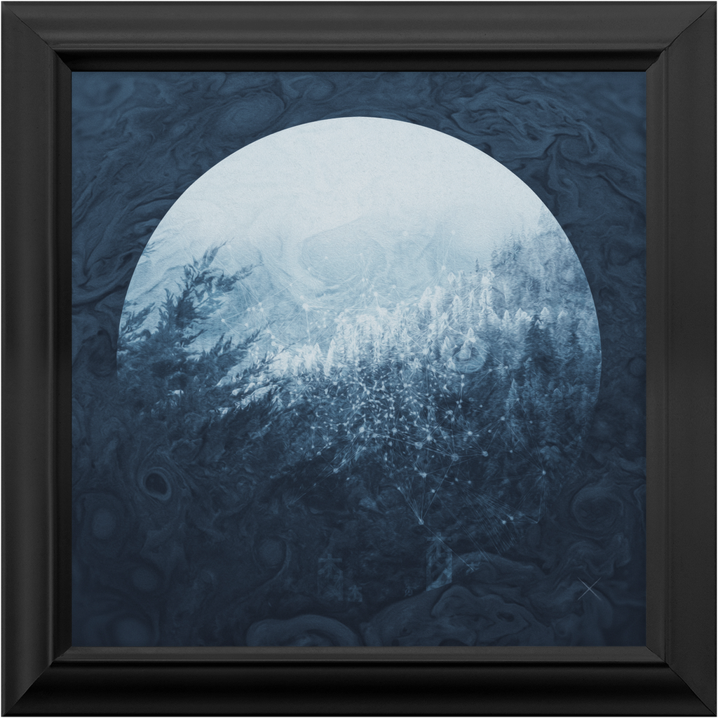 Through the Trees x Frame