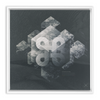 Geometry of Ecology x Strukture