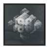 Geometry of Ecology x Strukture