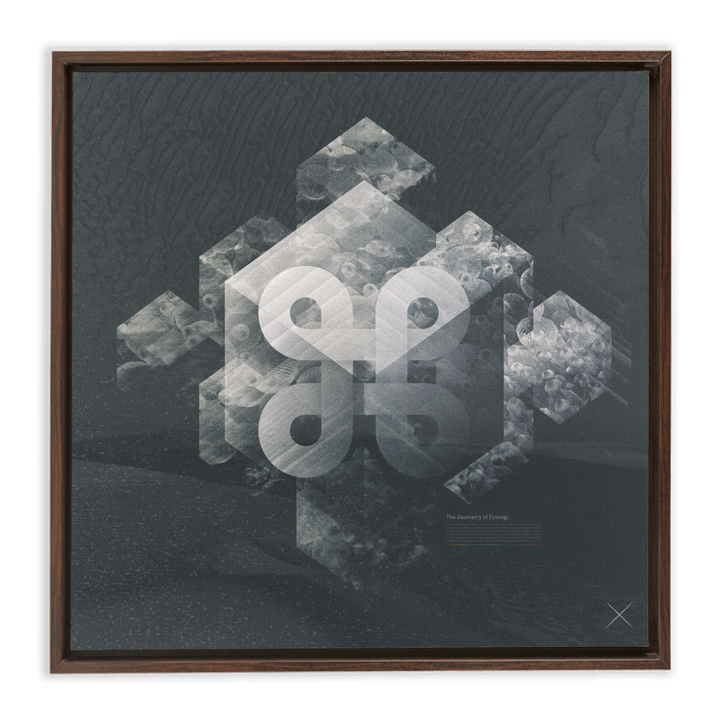 Geometry of Ecology x Strukture