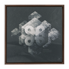 Geometry of Ecology x Strukture