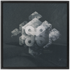 Geometry of Ecology x Strukture