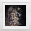 Xrossing Tiger x Frame