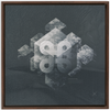 Geometry of Ecology x Strukture