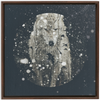 Winter Wolf x Strukture