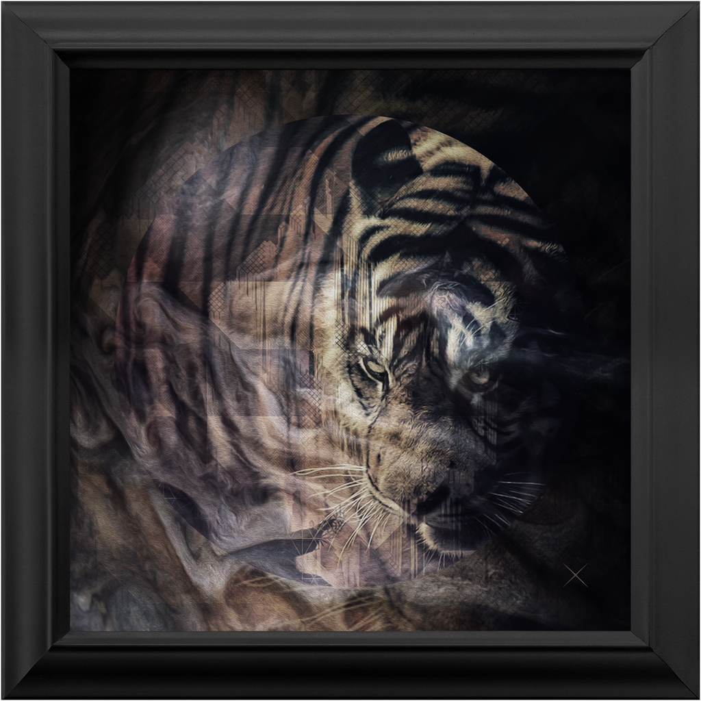 Xrossing Tiger x Frame