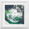 Rapid Abstract x Frame