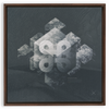 Geometry of Ecology x Strukture