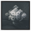 Geometry of Ecology x Strukture