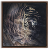 Xrossing Tiger x Strukture