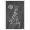 Artemis Moon x Frame