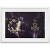 Faery Tale x Frame