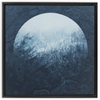 Through the Trees x Strukture