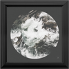 Rapid Abstract x Frame