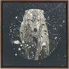 Winter Wolf x Strukture