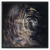 Xrossing Tiger x Strukture