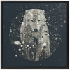 Winter Wolf x Strukture