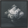Geometry of Ecology x Strukture