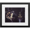 Faery Tale x Frame