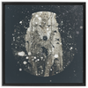 Winter Wolf x Strukture