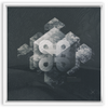 Geometry of Ecology x Strukture