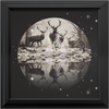 Deer Dearest x Frame