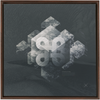Geometry of Ecology x Strukture